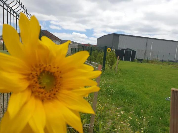 Chambre Calme Dans Une Maison Neuve Avec Jardin Billere Exterior foto